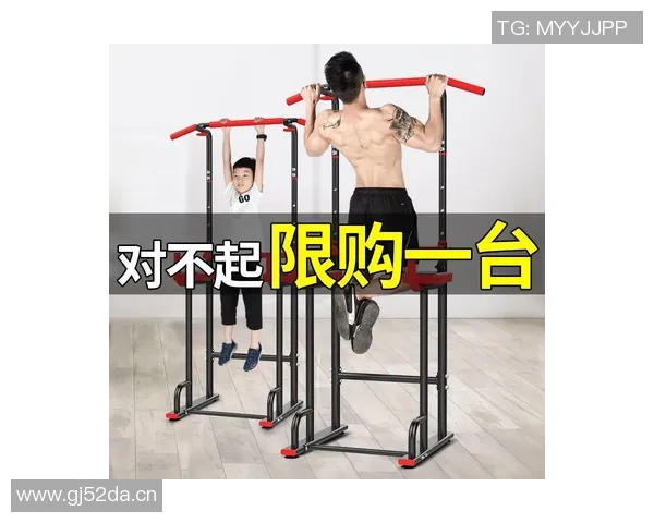 简易引体向上健身器材推荐与安装方法