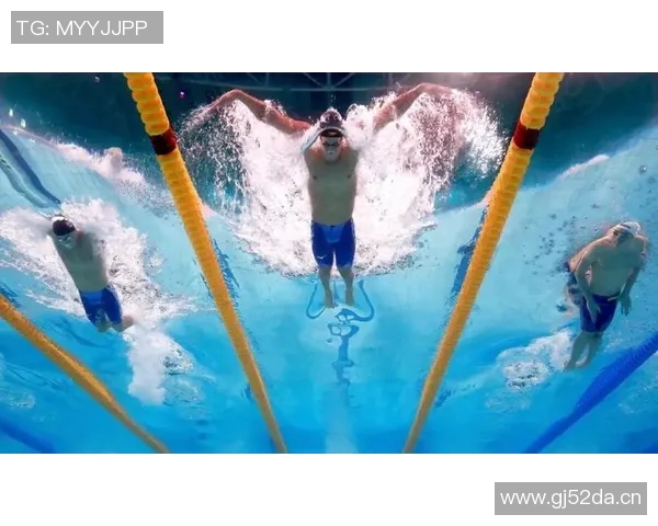 全方位提升游泳技能的系统化课程，让你轻松掌握游泳技巧与水中自信